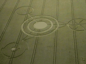 A Crop Circle at Barbury Castle 1991
