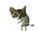 http://www.modeemi.fi/~huijar/sigu.gif